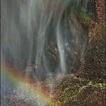 Rainbow in the Falls
